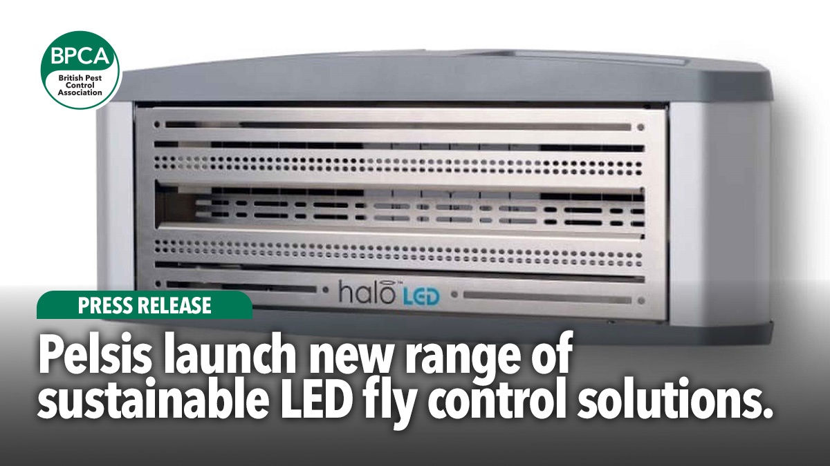 pelsis-launch-new-range-of-LED-solutions-hero2 pelsis-launch-new-range-of-LED-solutions-hero2